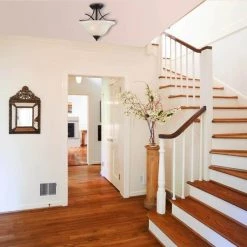 Pacific Falls 2-Light Amber Bronze Convertible Pendant/Semi Flush Mount by Westinghouse 6 Pacific Falls 2-Light Amber Bronze Convertible Pendant/Semi Flush Mount by Westinghouse -Westinghouse Shop amber bronze westinghouse flush mount lights 6340300 4f 1000