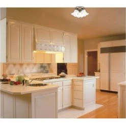 3-Light Ceiling Fixture Antique Brass Interior Flush-Mount with Frosted Ruffled Edge Glass by Westinghouse -Westinghouse Shop antique brass westinghouse flush mount lights 6668600 31 1000