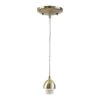 1-Light Antique Brass Adjustable Mini Pendant by Westinghouse