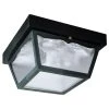 2-Light Black Polypropylene Outdoor Flush Mount by Westinghouse