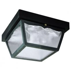 2-Light Black Polypropylene Outdoor Flush Mount by Westinghouse