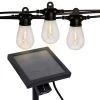 Outdoor 48 ft. 24-Light Solar Powered Edison Bulb LED String Light by Westinghouse