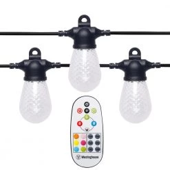 Outdoor 48 ft. 24-Light Solar Powered Edison Bulb LED String Light with Color Change Feature and Remote by Westinghouse