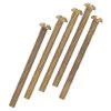 Five 2 in. Brass-Plated Steel Round Head Screws by Westinghouse