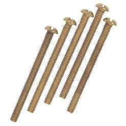 Five 2 in. Brass-Plated Steel Round Head Screws by Westinghouse