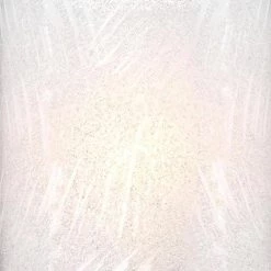 Ramsgate 5-Light Brushed Nickel Chandelier with Ice Glass Shades by Westinghouse -Westinghouse Shop brushed nickel westinghouse chandeliers 6308000 1f 1000