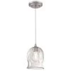 1-Light Brushed Nickel Mini Pendant with Clear Glass Shade by Westinghouse