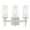 Chaddsford 3-Light Brushed Nickel Wall Mount Bath Light by Westinghouse