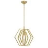 Holly 1-Light Champagne Brass Pendant by Westinghouse