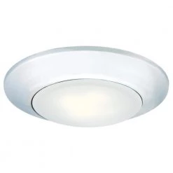 12-Watt Chrome Indoor/Outdoor Integrated LED Flush Mount by Westinghouse
