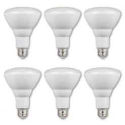 65-Watt Equivalent BR30 Dimmable Flood ENERGY STAR LED Light Bulb Daylight (6-Pack) by Westinghouse