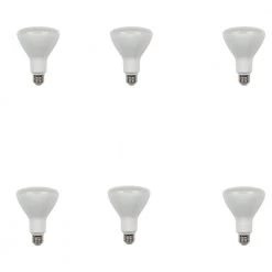 65W Equivalent Soft White R30 Dimmable LED Light Bulb (6-Pack) by Westinghouse