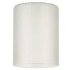 5-1/4 in. Frosted Cylinder Shade with 2-1/4 in. Fitter and 3-15/16 in. Width by Westinghouse