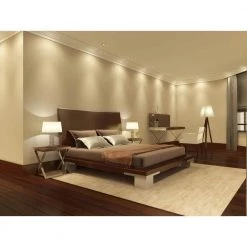 50-Watt Equivalent PAR20 Dimmable Flood ENERGY STAR LED Light Bulb Bright White Light (6-Pack) by Westinghouse 7 50-Watt Equivalent PAR20 Dimmable Flood ENERGY STAR LED Light Bulb Bright White Light (6-Pack) by Westinghouse -Westinghouse Shop gray westinghouse led light bulbs 5301220 4f 1000