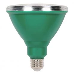 100W Equivalent Green PAR38 LED Weatherproof Flood Light Bulb by Westinghouse