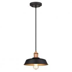 Ida 1-Light Matte Black and Washed Copper Pendant by Westinghouse