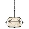 2-Light Matte Black Finish Pendant by Westinghouse