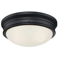 Default 30 Meadowbrook 2-Light Matte Black Flush Mount by Westinghouse