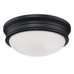 Meadowbrook 2-Light Matte Black Flush Mount by Westinghouse -Westinghouse Shop matte black westinghouse flush mount lights 6324100 c3 1000