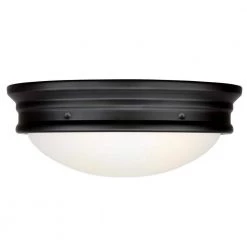 Meadowbrook 2-Light Matte Black Outdoor Flush Mount Light with Frosted Glass by Westinghouse -Westinghouse Shop matte black westinghouse outdoor flush mount lights 6578100 1f 1000