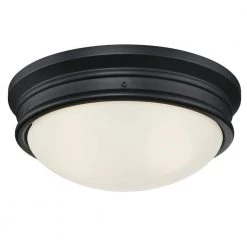 Meadowbrook 2-Light Matte Black Outdoor Flush Mount Light with Frosted Glass by Westinghouse