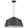 1-Light Matte Brushed Gun Metal Pendant by Westinghouse