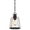 Brynn 1-Light Oil Rubbed Bronze with Highlights Outdoor Hanging Pendant by Westinghouse