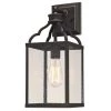 Cardinal 1-Light Oil Rubbed Bronze with Highlights Outdoor Wall Lantern Sconce by Westinghouse