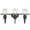 Ashton 3-Light Oil Rubbed Bronze with Highlights Wall Bath Light by Westinghouse