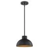 Malte 1-Light Hammered Oil Rubbed Bronze Pendant by Westinghouse