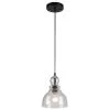 1-Light Oil Rubbed Bronze Adjustable Mini Pendant with Hand-Blown Clear Seeded Glass by Westinghouse