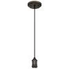 1-Light Oil Rubbed Bronze Retro Mini Pendant by Westinghouse