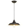 Iron Hill 1-Light Oil Rubbed Bronze Pendant by Westinghouse