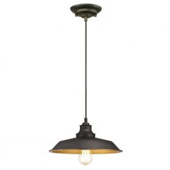 Iron Hill 1-Light Oil Rubbed Bronze Pendant by Westinghouse