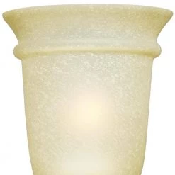 Montrose 3-Light Oil Rubbed Bronze with Highlights Wall Fixture by Westinghouse -Westinghouse Shop oil rubbed bronze westinghouse vanity lighting 6342800 1f 1000