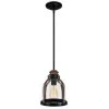 Cindy 1-Light Oil Rubbed Bronze and Barnwood Mini Pendant with Clear Seeded Glass Shade by Westinghouse
