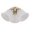 3-Light LED Cluster Ceiling Fan Light Kit by Westinghouse