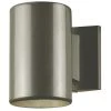 1-Light Polished Graphite on Steel Cylinder Outdoor Wall Lantern Sconce by Westinghouse
