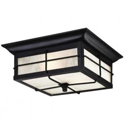 Orwell 2-Light Textured Black Outdoor Flushmount by Westinghouse