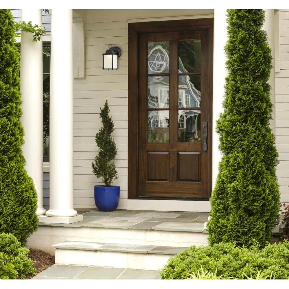 1-Light Textured Black Outdoor Integrated LED ENERGY STAR Wall Lantern Sconce by Westinghouse 2 1-Light Textured Black Outdoor Integrated LED ENERGY STAR Wall Lantern Sconce by Westinghouse - Image 2