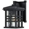 Caliste Textured Black Outdoor Dusk to Dawn Wall Lantern Sconce by Westinghouse