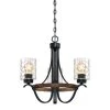 Barnwell 3-Light Textured Iron and Barnwood Chandelier with Clear Hammered Glass Shades by Westinghouse
