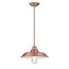Iron Hill 1-Light Washed Copper Pendant by Westinghouse