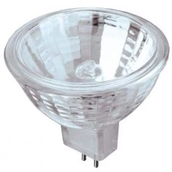 20-Watt Halogen MR16 Clear Lens Low Voltage GU5.3 Base Flood Light Bulb by Westinghouse