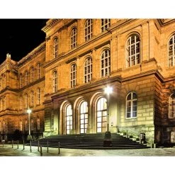 150-Watt Equivalent Omni A21 Soft White LED Light Bulb Daylight (1-Bulb) by Westinghouse -Westinghouse Shop westinghouse led light bulbs 5170000 31 1000