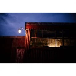 150-Watt Equivalent Omni A21 Soft White LED Light Bulb Daylight (6-Pack) by Westinghouse 7 150-Watt Equivalent Omni A21 Soft White LED Light Bulb Daylight (6-Pack) by Westinghouse -Westinghouse Shop westinghouse led light bulbs 5170020 1f 1000