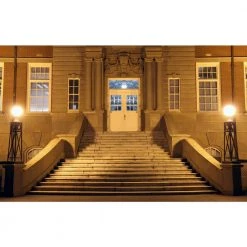 150-Watt Equivalent Omni A21 Soft White LED Light Bulb Daylight (6-Pack) by Westinghouse 6 150-Watt Equivalent Omni A21 Soft White LED Light Bulb Daylight (6-Pack) by Westinghouse -Westinghouse Shop westinghouse led light bulbs 5170020 4f 1000