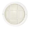 1-Light White Steel Exterior Wall Fixture with White Glass Lens by Westinghouse