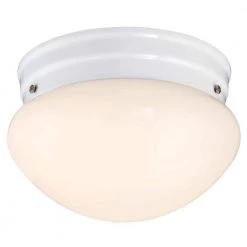 10-Watt White Integrated LED Flush Mount by Westinghouse