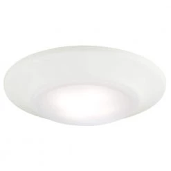 12-Watt White Indoor/Outdoor Integrated LED Flush Mount by Westinghouse